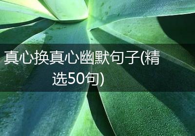 真心换真心幽默句子(精选50句)