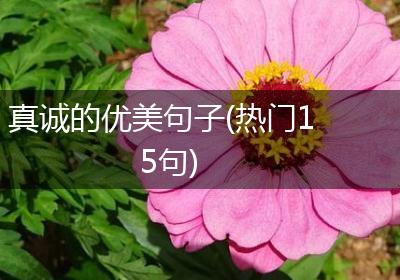 真诚的优美句子(热门15句)