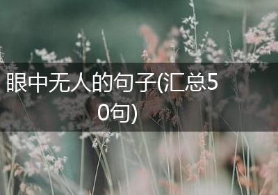 眼中无人的句子(汇总50句)