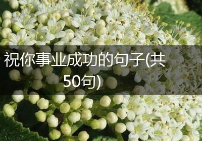 祝你事业成功的句子(共50句)