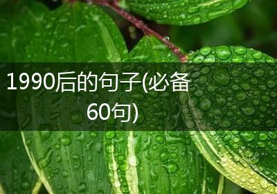 1990后的句子(必备60句)