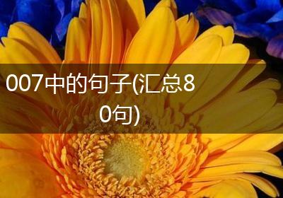 007中的句子(汇总80句)