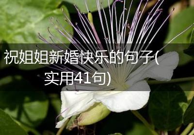 祝姐姐新婚快乐的句子(实用41句)