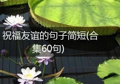 祝福友谊的句子简短(合集60句)