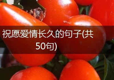 祝愿爱情长久的句子(共50句)