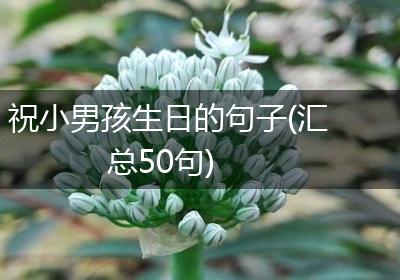 祝小男孩生日的句子(汇总50句)