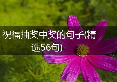 祝福抽奖中奖的句子(精选56句)