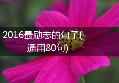 2016最励志的句子(通用80句)