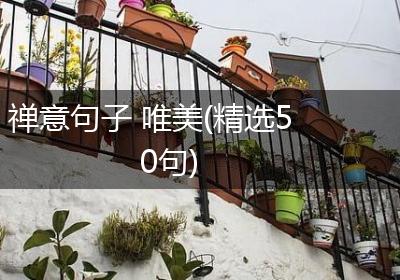 禅意句子 唯美(精选50句)