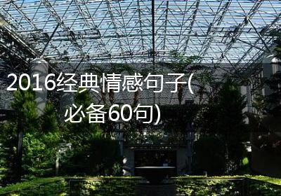 2016经典情感句子(必备60句)