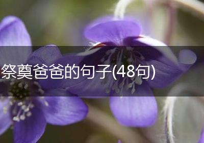 祭奠爸爸的句子(48句)
