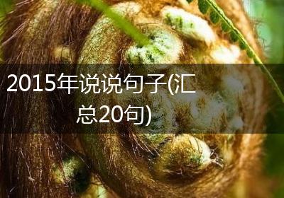 2015年说说句子(汇总20句)