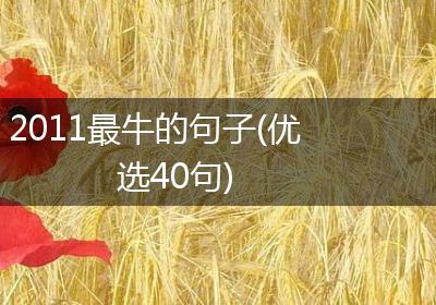 2011最牛的句子(优选40句)