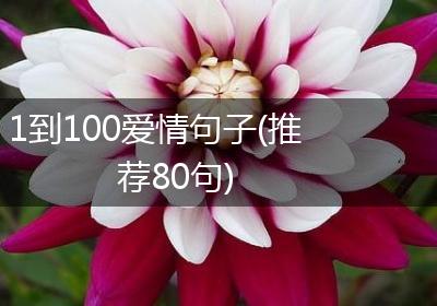 1到100爱情句子(推荐80句)