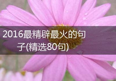 2016最精辟最火的句子(精选80句)
