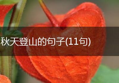 秋天登山的句子(11句)