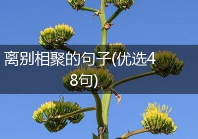 离别相聚的句子(优选48句)