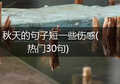 秋天的句子短一些伤感(热门30句)