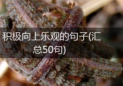 积极向上乐观的句子(汇总50句)