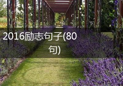 2016励志句子(80句)