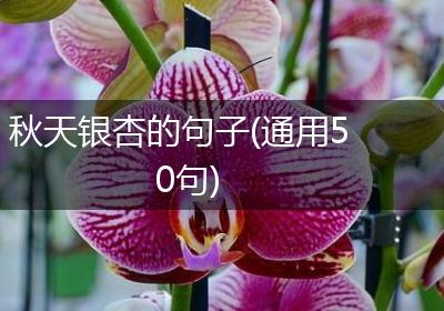 秋天银杏的句子(通用50句)