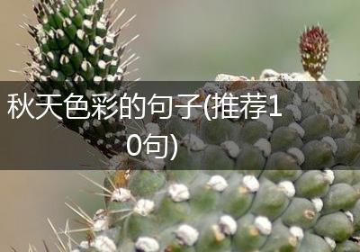 秋天色彩的句子(推荐10句)