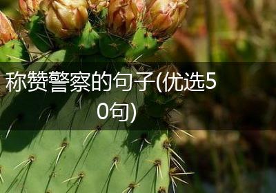 称赞警察的句子(优选50句)