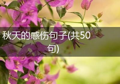 秋天的感伤句子(共50句)