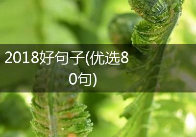 2018好句子(优选80句)