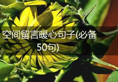 空间留言暖心句子(必备50句)