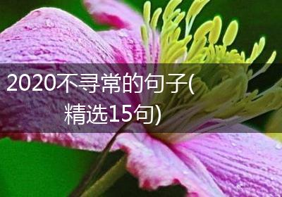 2020不寻常的句子(精选15句)