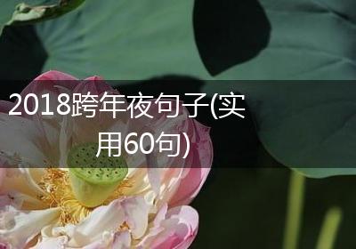 2018跨年夜句子(实用60句)