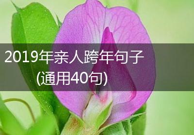 2019年亲人跨年句子(通用40句)