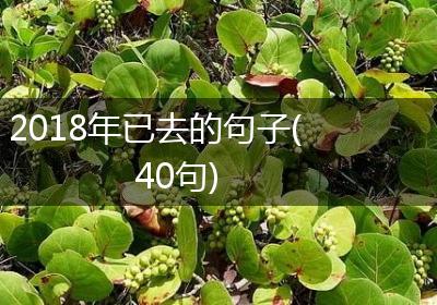 2018年已去的句子(40句)
