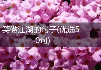 笑傲江湖的句子(优选50句)