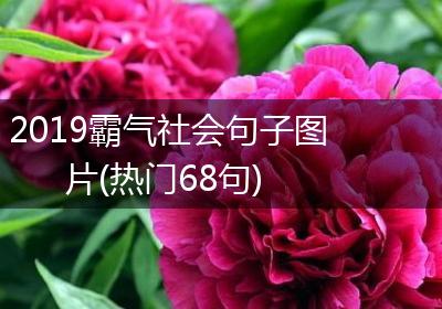 2019霸气社会句子图片(热门68句)