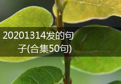 20201314发的句子(合集50句)