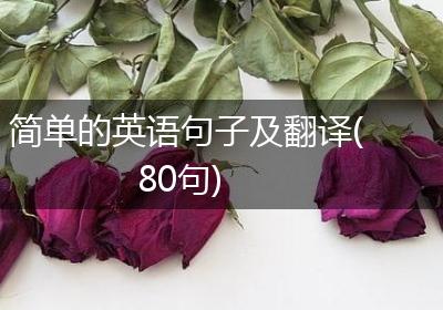 简单的英语句子及翻译(80句)