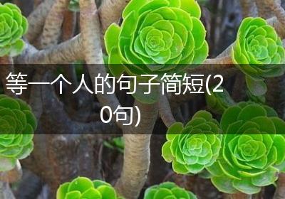 等一个人的句子简短(20句)