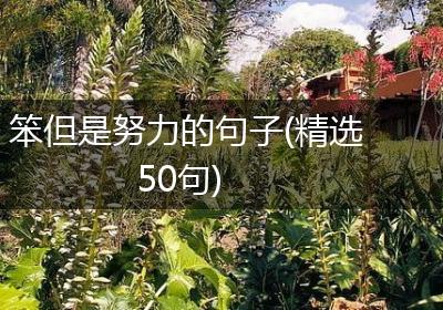 笨但是努力的句子(精选50句)