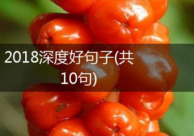 2018深度好句子(共10句)
