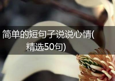 简单的短句子说说心情(精选50句)