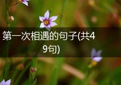 第一次相遇的句子(共49句)