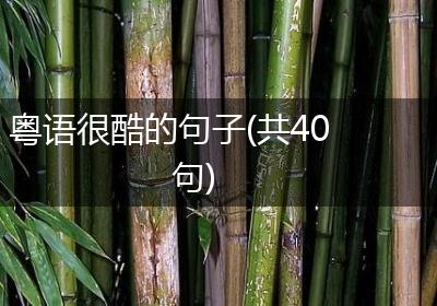 粤语很酷的句子(共40句)