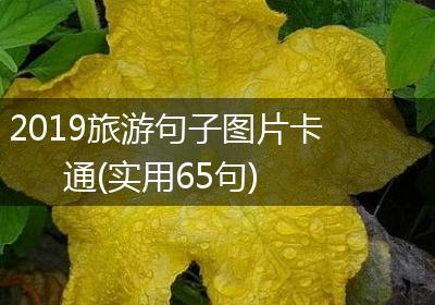 2019旅游句子图片卡通(实用65句)