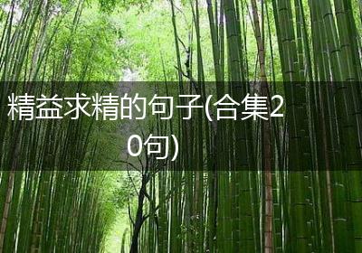 精益求精的句子(合集20句)