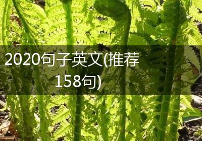 2020句子英文(推荐158句)