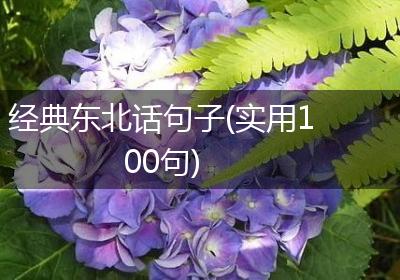 经典东北话句子(实用100句)