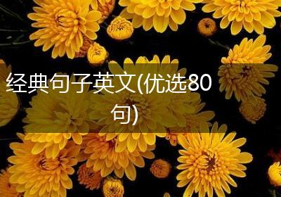经典句子英文(优选80句)