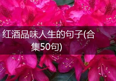 红酒品味人生的句子(合集50句)